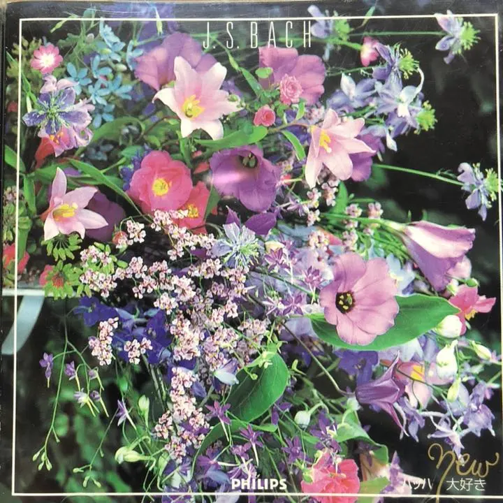 【極美品】SELVA フルート SELVA フルート 一式