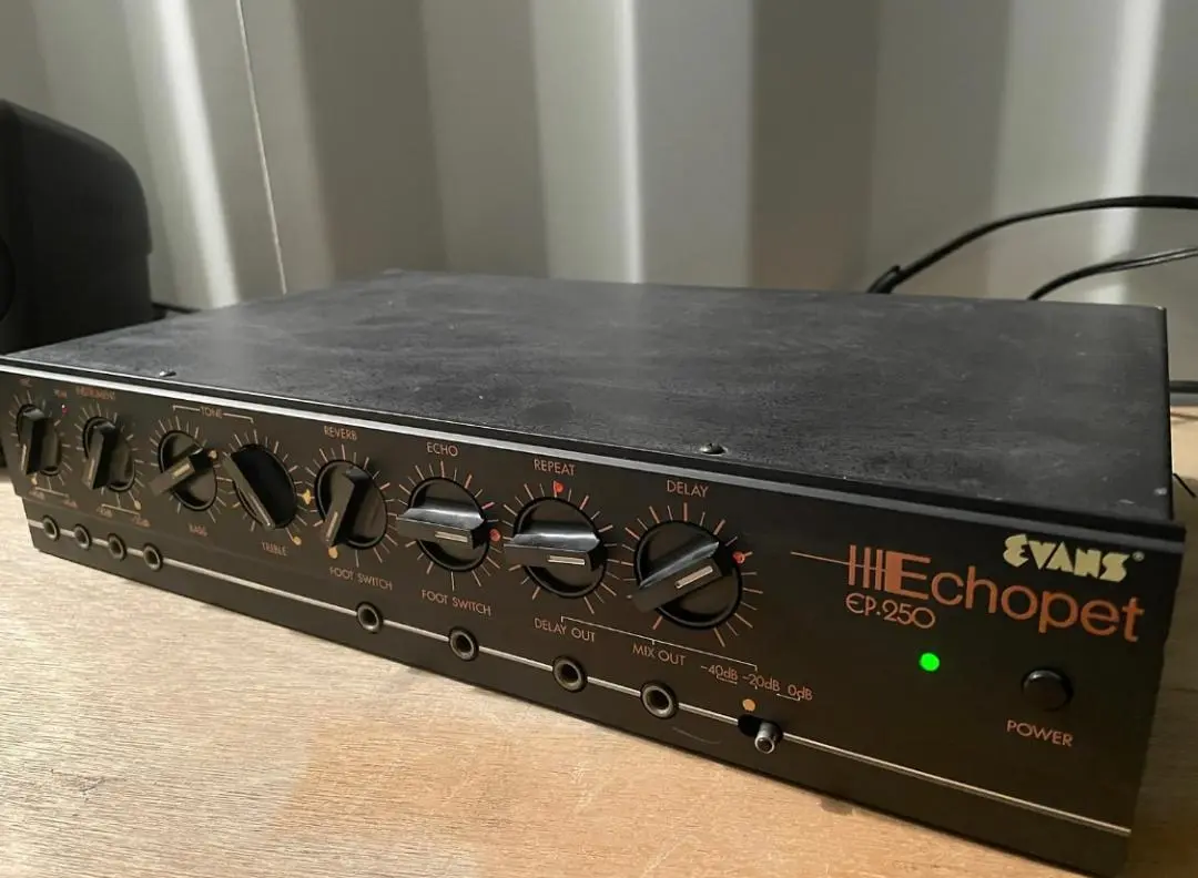 2025年最新】Roland RE-201の人気アイテム - メルカリ
