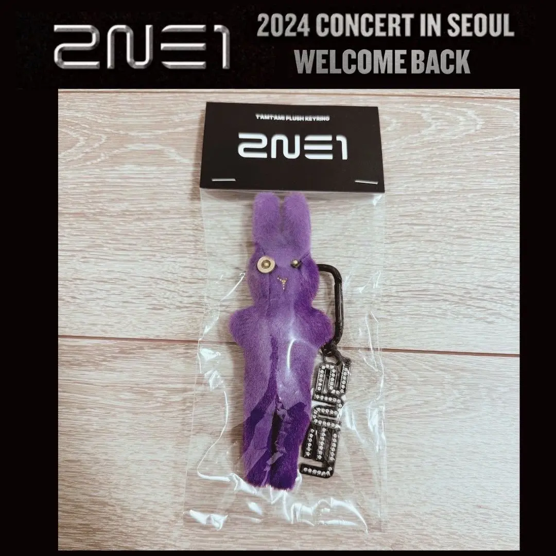 2025年最新】2ne1 ソウルコンの人気アイテム - メルカリ