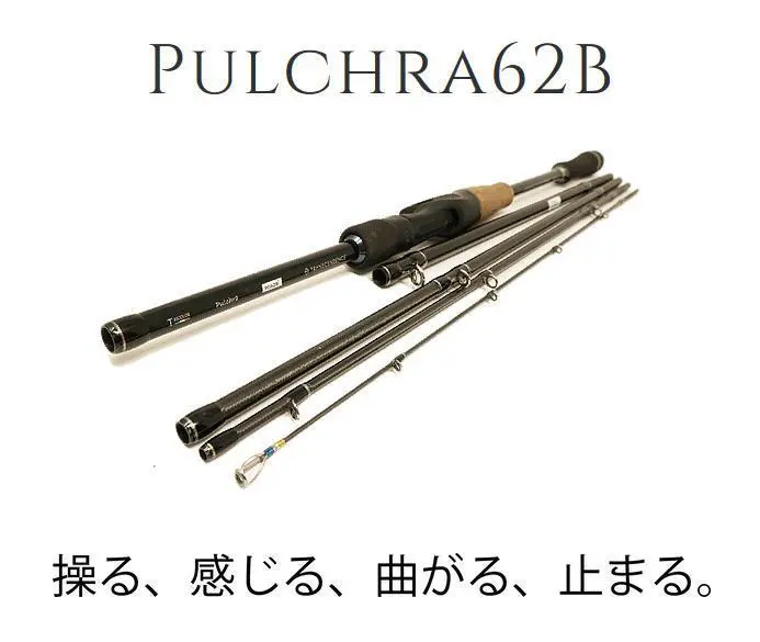 休日限定値下げ】トランスセンデンスプルクラ62B 73B