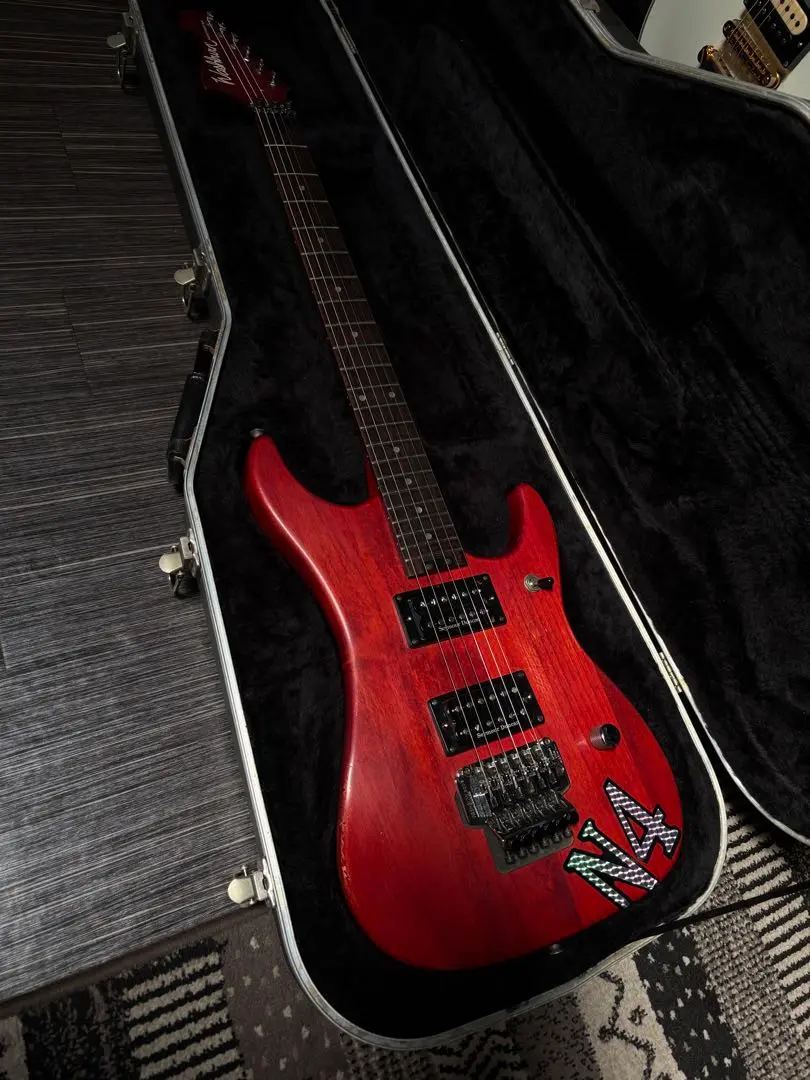 2025年最新】washburn ヌーノ モデルの人気アイテム - メルカリ