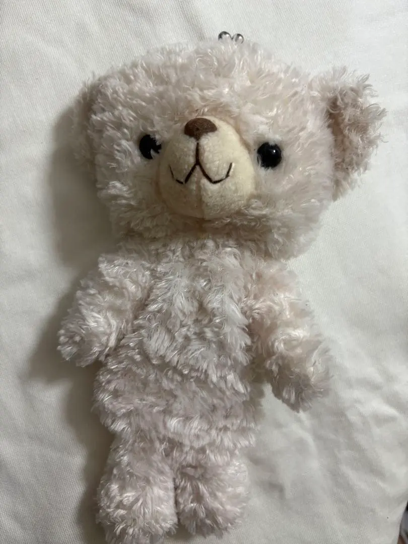 Thumbnail of White bear stuffed animal coin purse