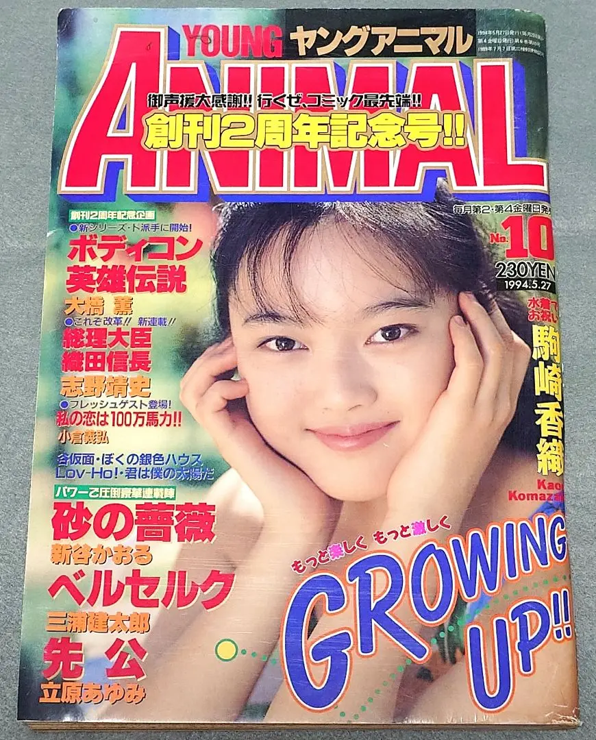 ヤングアニマル1994年18号ベルセルク三浦建太郎/すずきゆみえ表紙&グラビア ヤングアニマル1994年18号ベルセルク三浦建太郎/すずきゆみえ