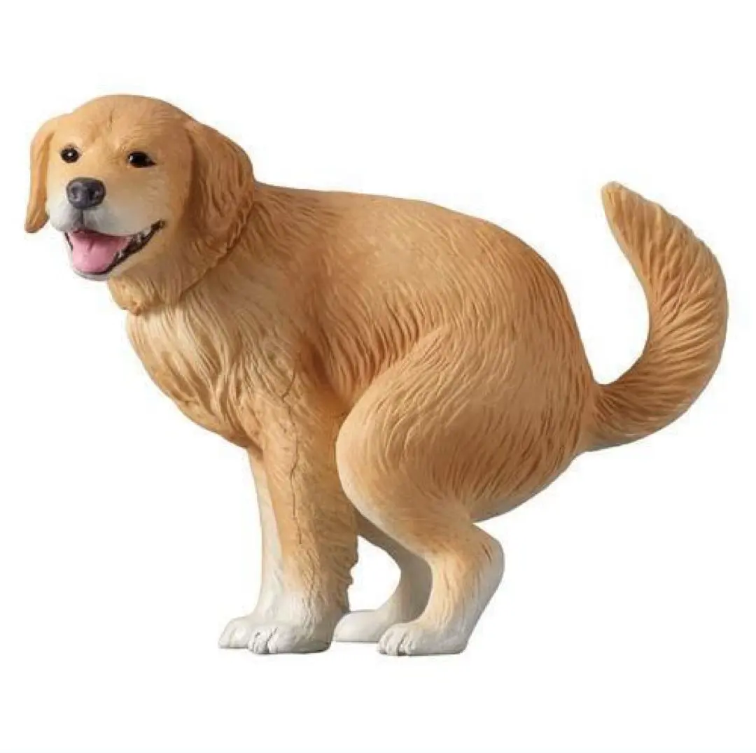 ★全新未開封★ ふんばり〜ぬ2 金毛尋回犬 模型 的縮圖