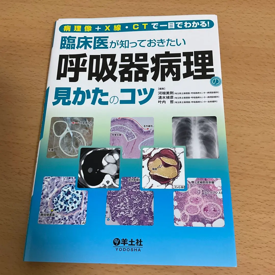 臨床医が知っておきたい呼吸器病理の見かたのコツ 病理像＋Ｘ線・ＣＴで一目でわかる！  /羊土社/河端美則（単行本） 病理像＋X線・CTで一目でわかる！ 臨床医が知っておきたい呼吸器