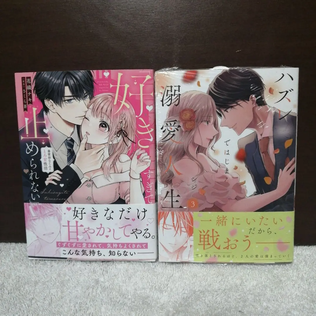 Thumbnail of Can't Stop Loving You: The Sweet and Steamy Life of a Childhood Friend's Obsessive Love