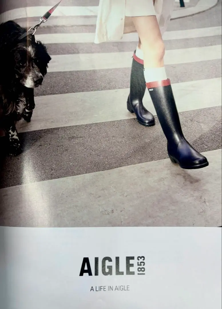 AIGLE エーグル レインブーツ MISS JULIE 楽天市場】エーグル 長靴 レディース ZZF8886 ミスジュリー2