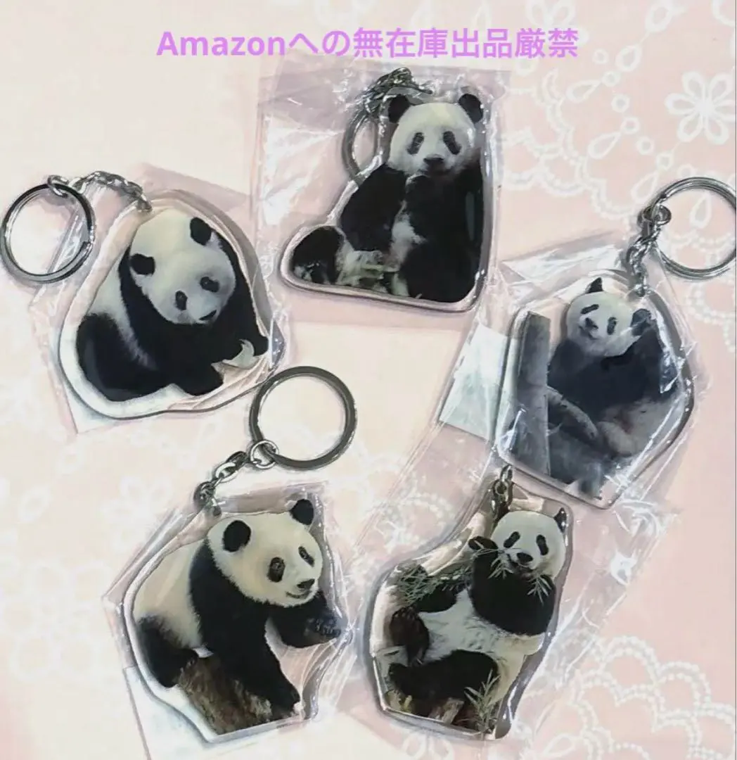 未使用♦️シャンシャンアクリルキーホルダー５種 上野動物園② 2025年最新】上野動物園 シャンシャン キーホルダーの人気