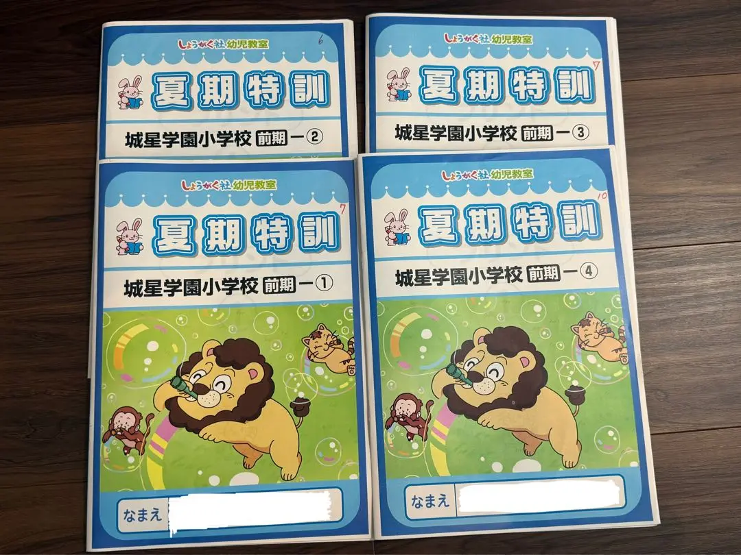 ★パンダ★しょうがく社　城星学園小学校　入試問題類題集など4点 2020年度版 近畿圏版(4) 城星学園小学校・帝塚山学院小学校 過去