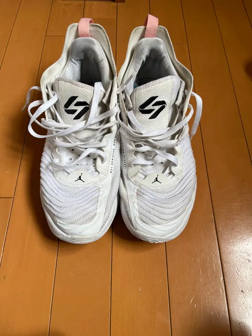 最終値下げLuka1 28センチ JORDAN LUKA 1 ルカ1 28.5cm ナイキ NIKE（JORDAN LUKA 1 PF