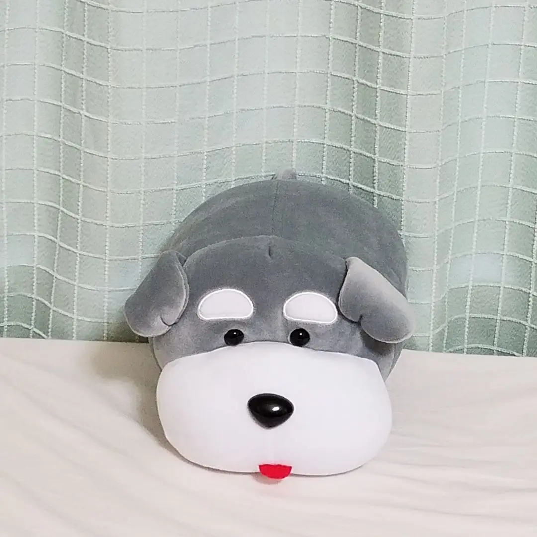 つめる！もちっこシュナウザー VMCセット ≪8月の新商品≫つめる！もちっこシュナウザー☆アミューズ