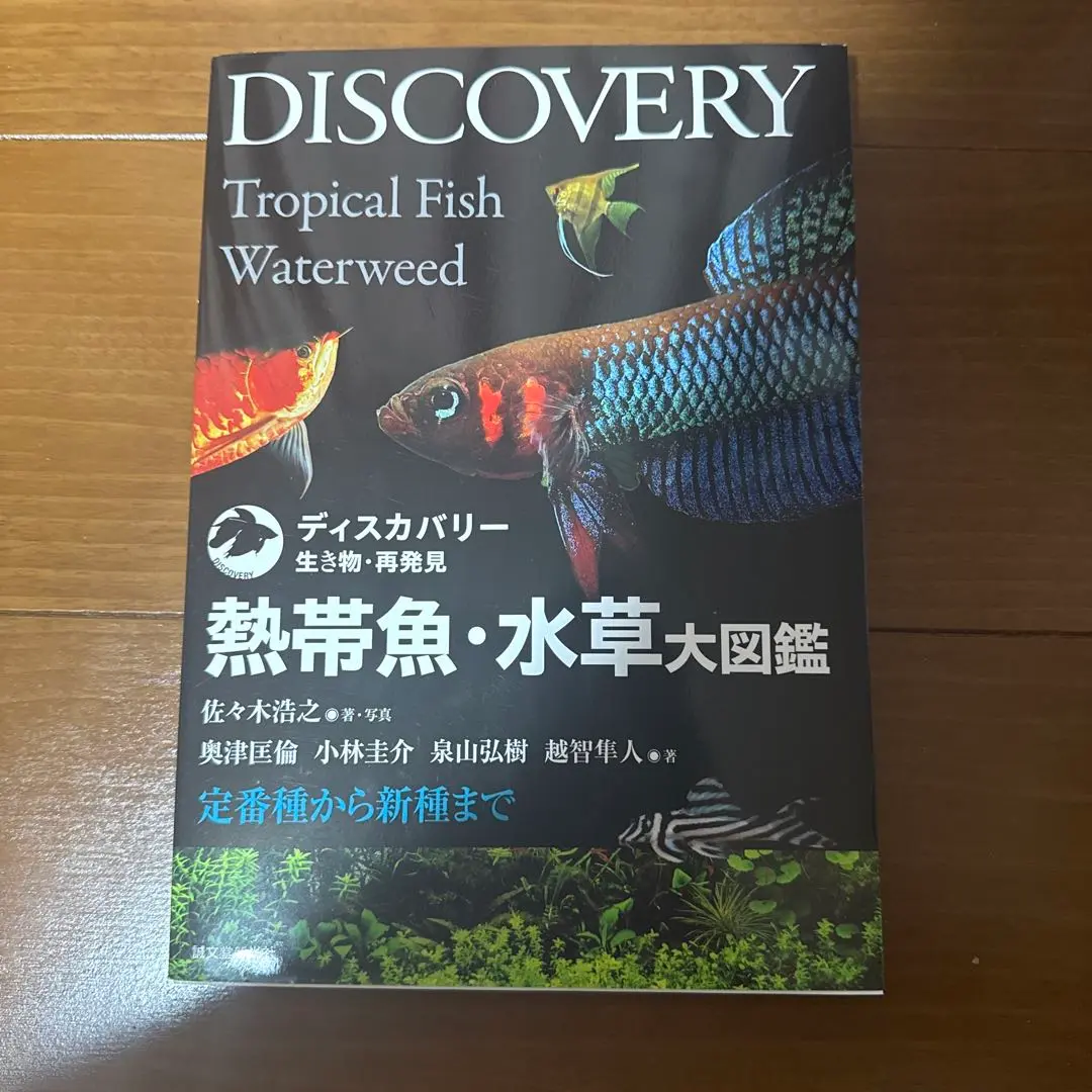 2025年最新】熱帯魚・水草大図鑑の人気アイテム - メルカリ