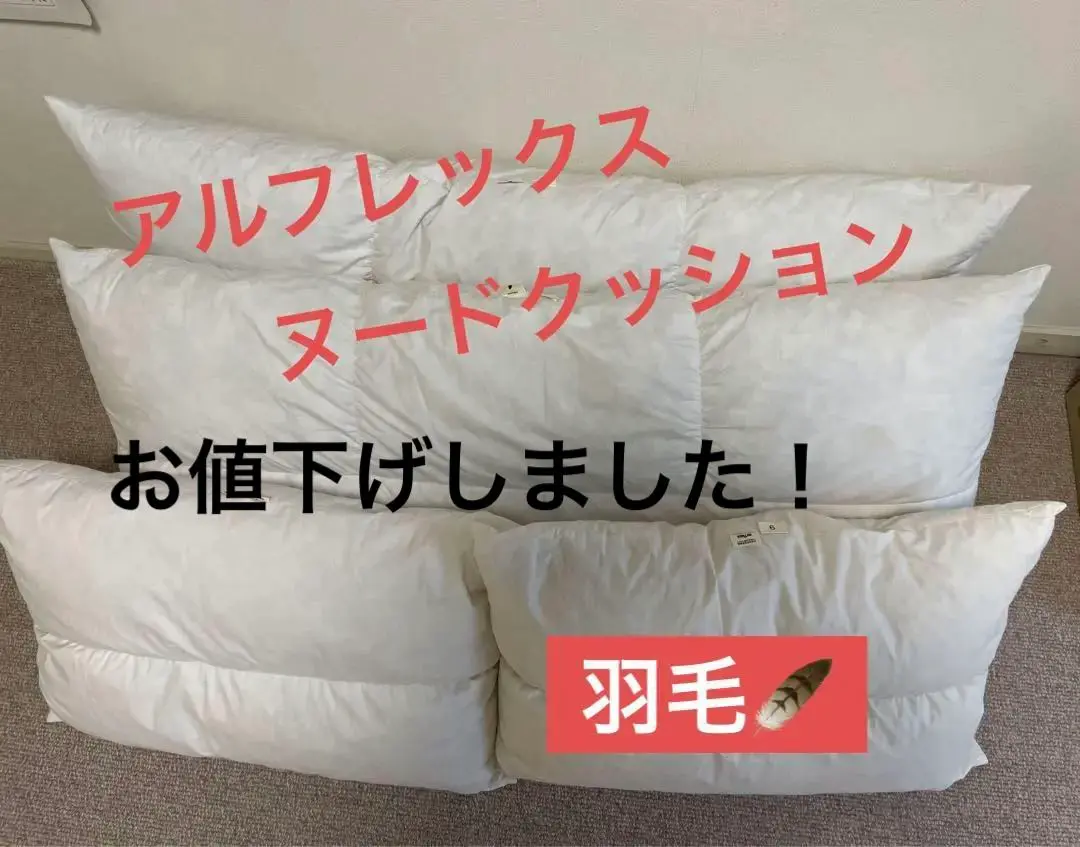 アルフレックス羽毛ヌードクッション 2025年最新】アルフレックス クッション・座布団の人気アイテム