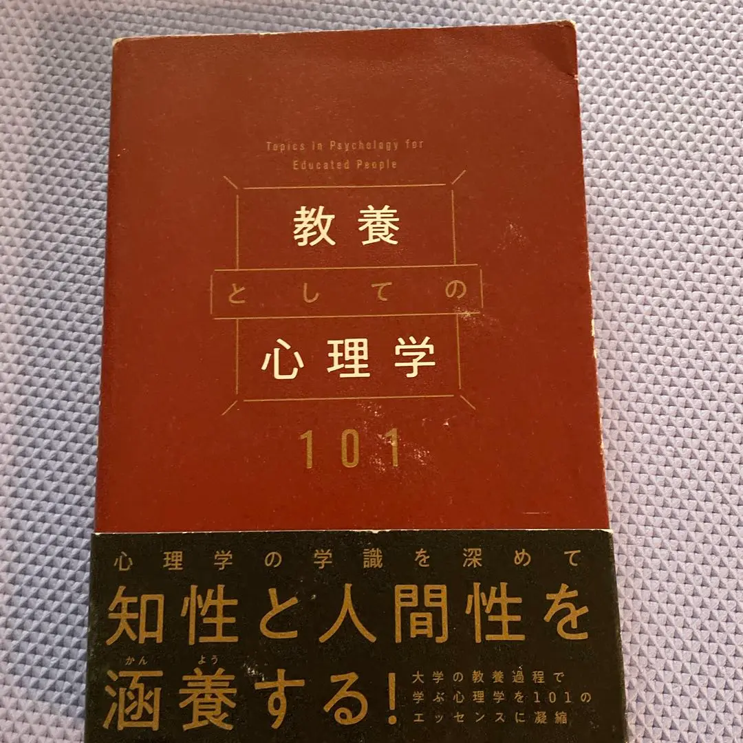 心理学参考書 4冊セット DELTA PLUS 心理学参考書 4冊セット DELTA PLUS 心理学参考書 4冊セット