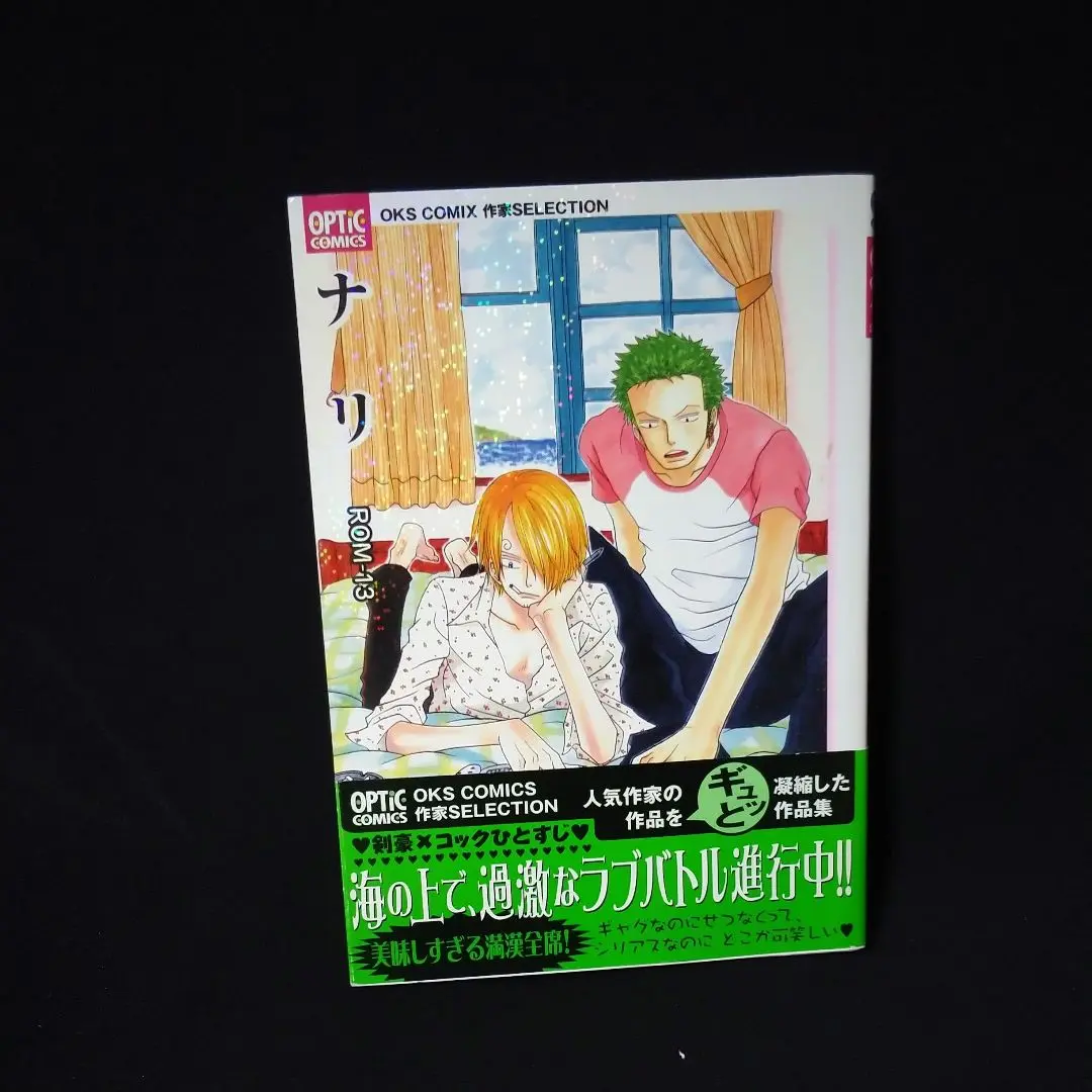 忘却カウントダウン ROM-13 ナリ ゾロサン【忘却カウントダウン】再録 ROM-13/ナリ 448p シリアス