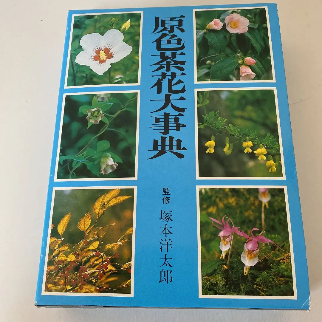 2025年最新】茶花大事典の人気アイテム - メルカリ