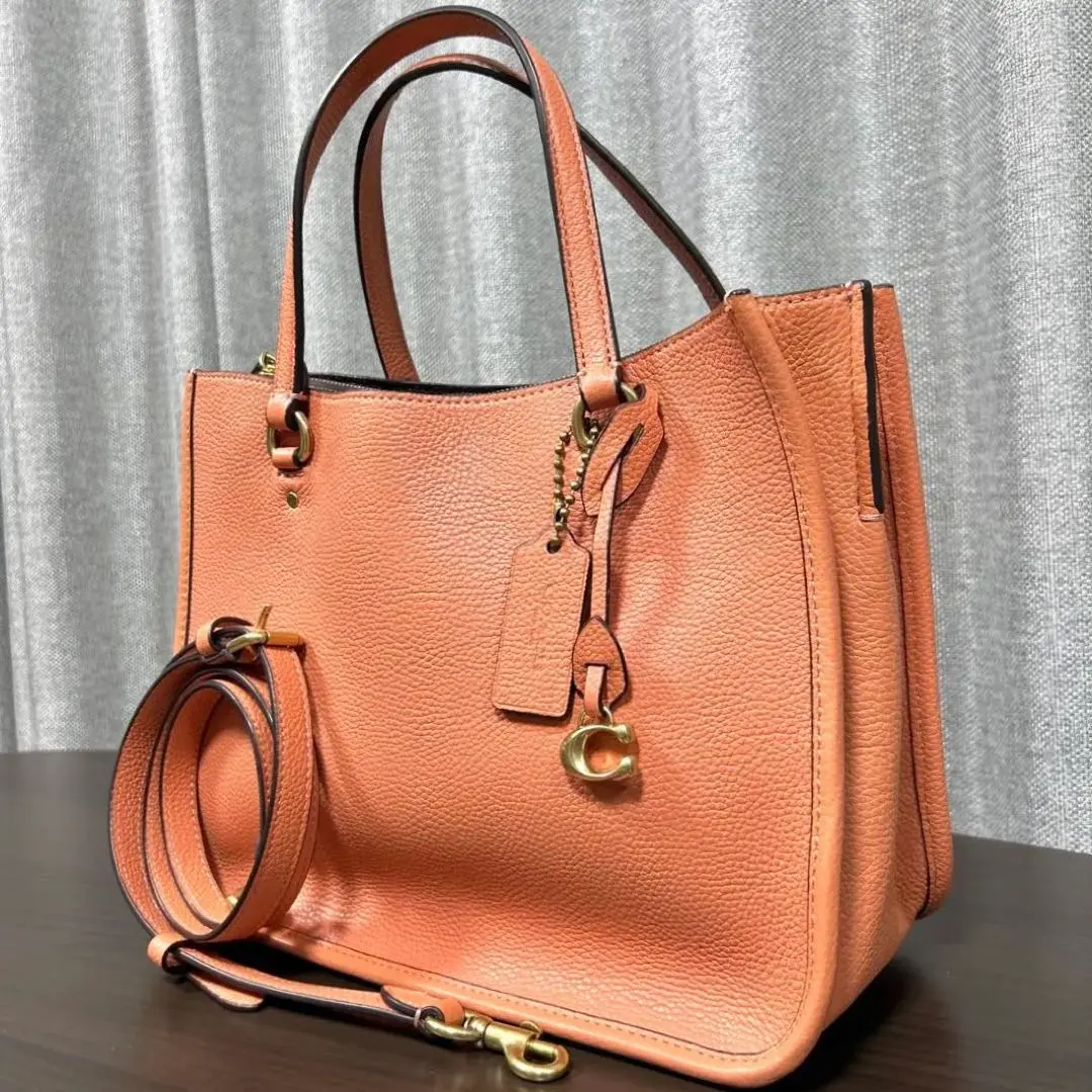 ☆最終値下げ☆COACHタイラーキャリーオール28 2WAY 2025年最新】coach タイラーキャリーオール28の人気アイテム