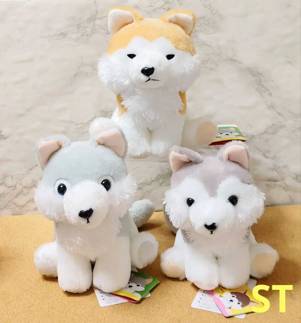 もふっとオオカミ 【新作】 フォレスト STコンプ 【kiyoさま