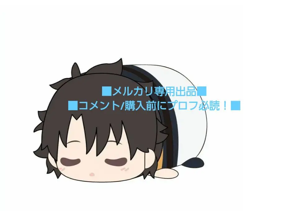 fgo もちもちマスコット　vol.1　アニメイト特典　主人公（女）藤丸立香 2025年最新】fgo もちもち 主人公の人気アイテム - メルカリ