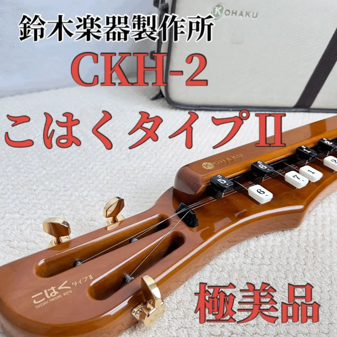 2025年最新】大正琴 こはくの人気アイテム - メルカリ