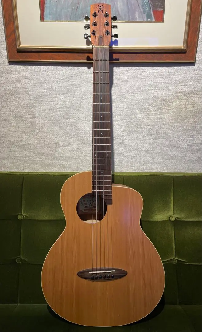 aNueNue エレアコ　BirdGuitar M1美品 2025年最新】anuenue m1の人気アイテム - メルカリ