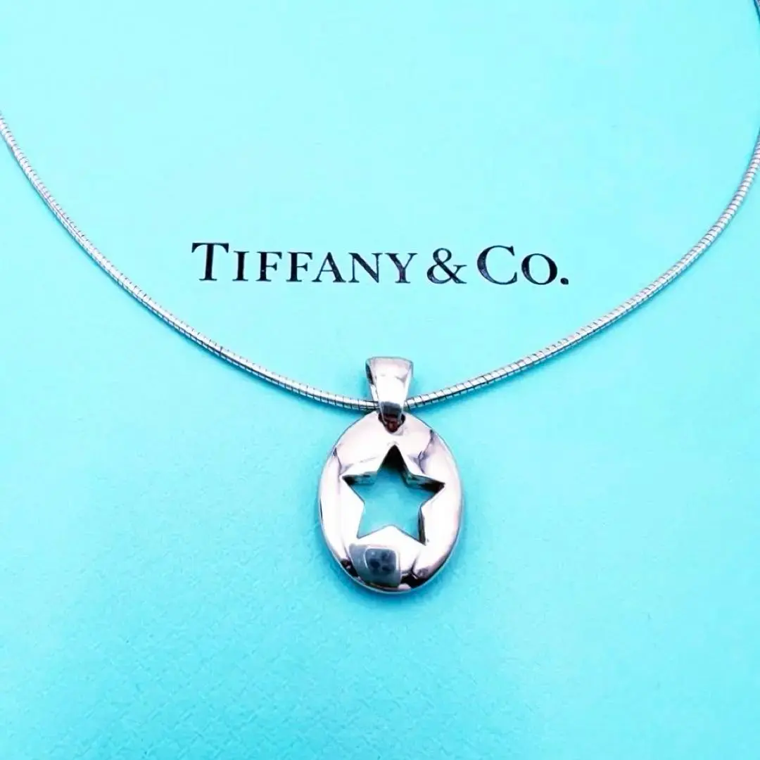 Tiffany&Co ピアストスター オープンスター 星 ネックレス トップのみ Tiffany&Co ピアストスター オープンスター 星 ネックレス