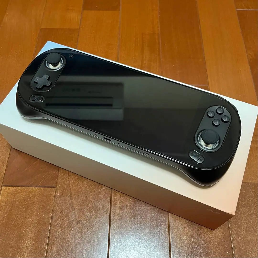 4.20迄値下げAYANEO Pocket EVO 12GB 256GB 上位