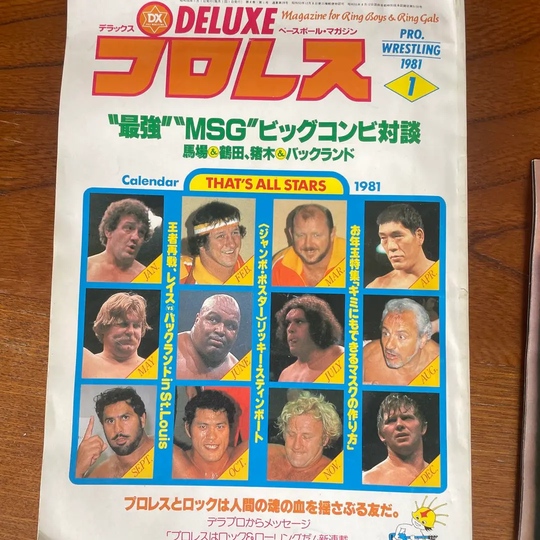 ハーリーレイス直筆サイン 2025年最新】ハーリー・レイスの人気アイテム - メルカリ