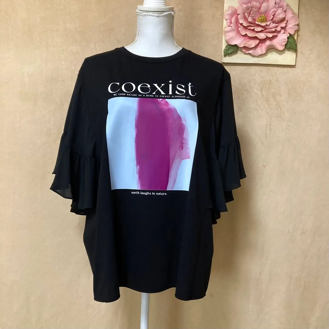新品未使用！クールカレアン Tシャツ 2025年最新】クールカレアン 半袖(Tシャツ)の人気アイテム