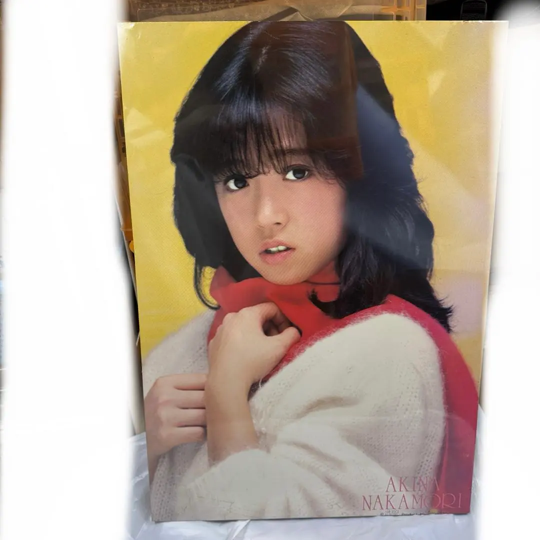中森明菜　パネルポスター　研音 激レア][貴重] 中森明菜 木製パネルポスター スローモーション