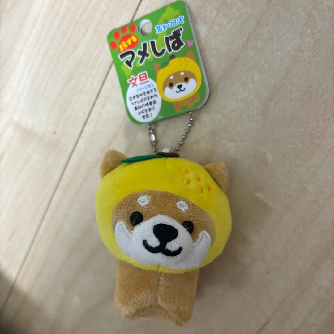 Thumbnail of Traveling Mameshiba: Kochi