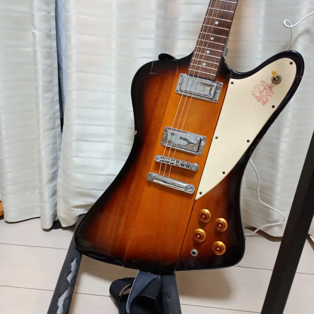 エピフォン　Firebird 最終値下げ maxresdefault.jpg?sqp=-