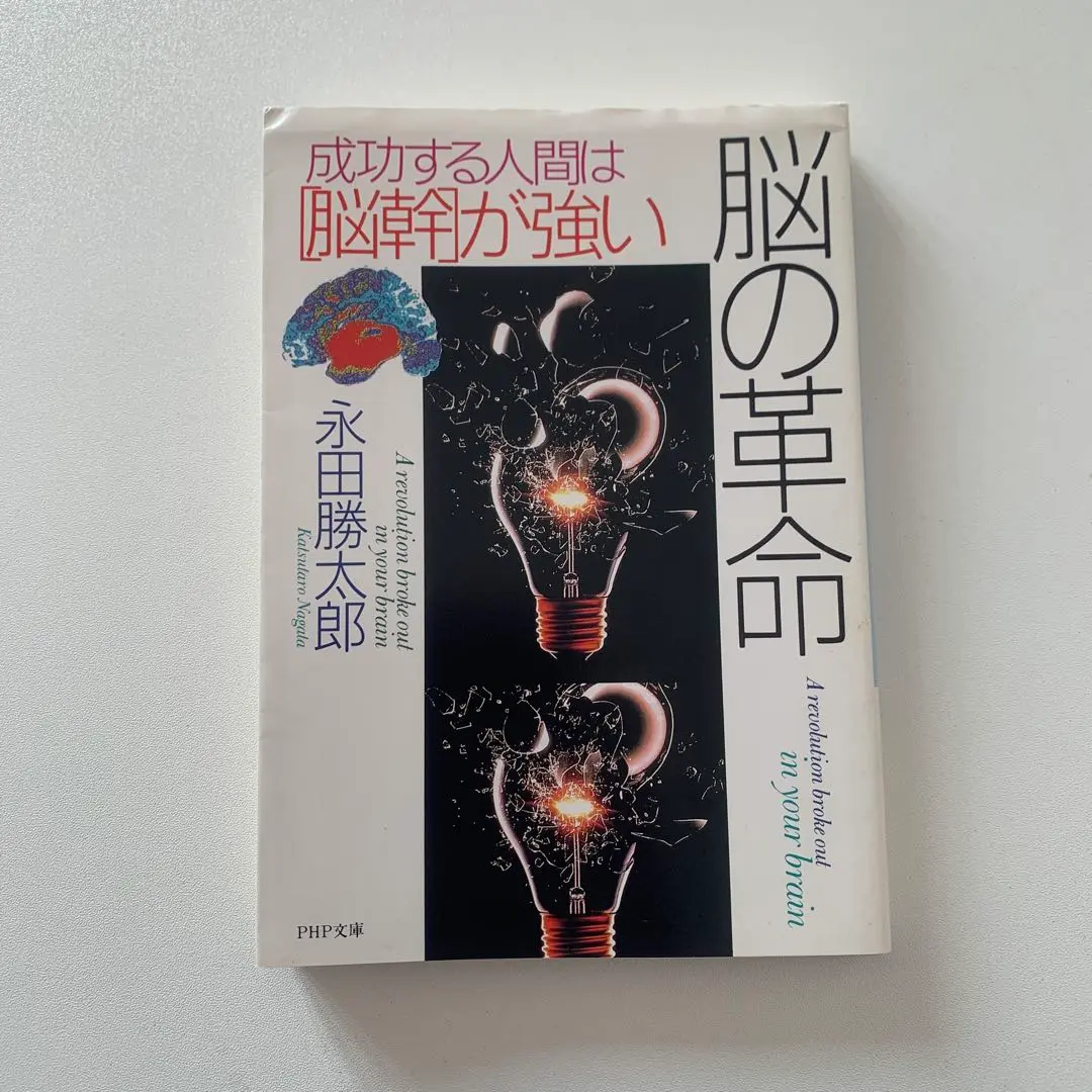 新・人間革命　11〜29巻　19冊セット【スピード発送‼️安心のメルカリ便‼️】 新・人間革命 11〜29巻 19冊セット【スピード発送‼️安心の
