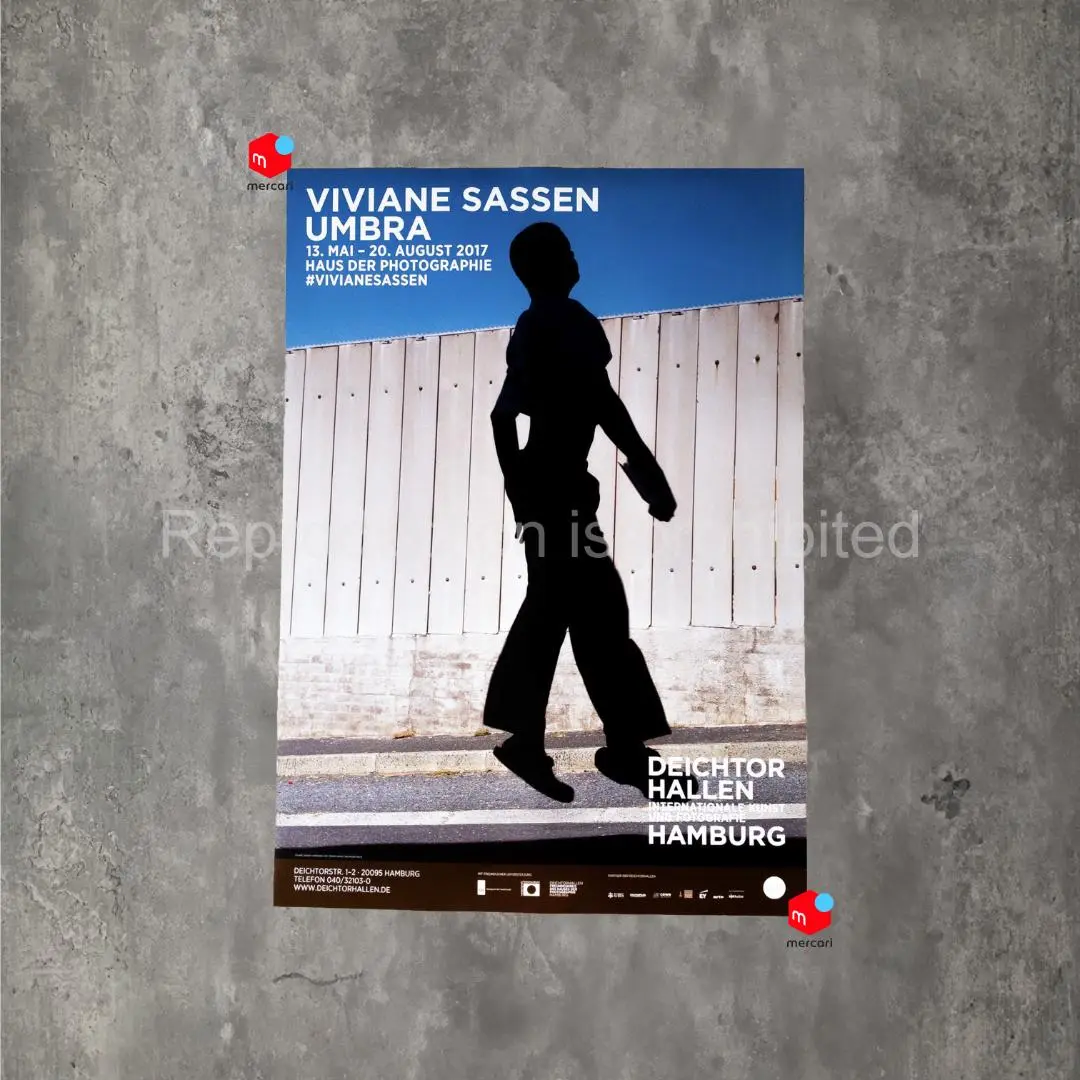 希少 Viviane Sassen プリント ヴィヴィアン・サッセン Hot Mirror Viviane Sassen ヴィヴィアン・サッセン 写真集