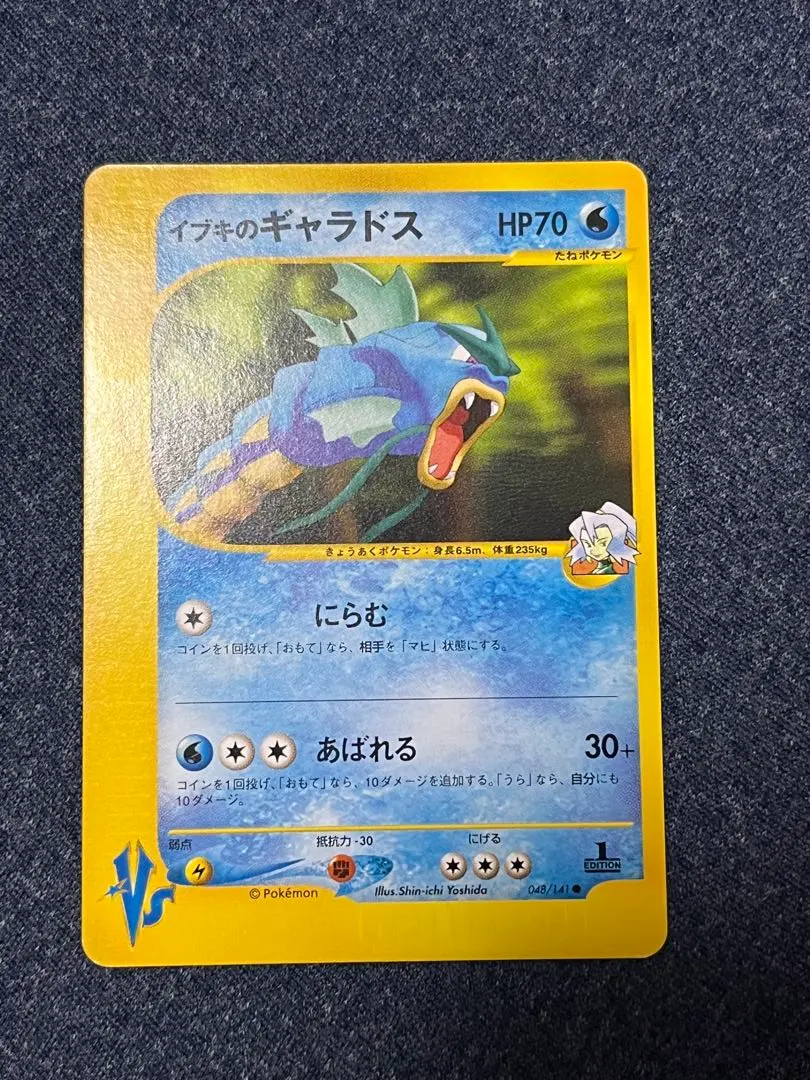 ポケモンカードe VS 24枚 ワタルのギャラドス　イブキのカメックス ポケモンカードe VS 24枚 ワタルのギャラドス イブキのカメックス