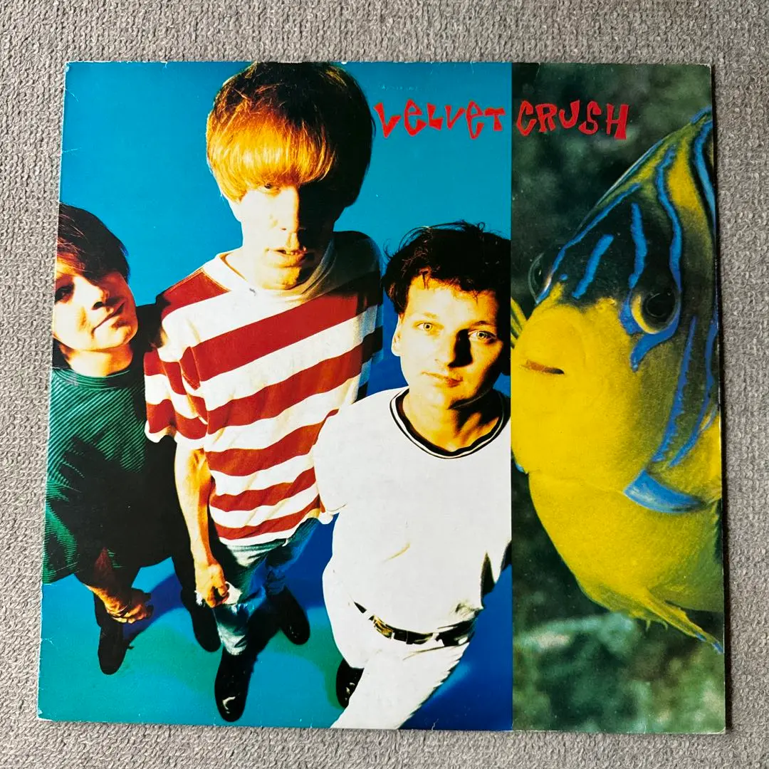 Velvet Crush LP アナログ レコード ベルベット・クラッシュ 2025年最新】Yahoo!オークション -velvet crush(レコード)の中古