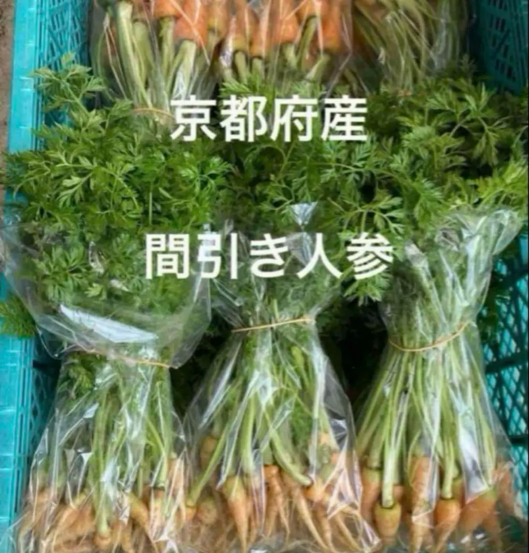 京都府產 間拔人參 無農藥 紅蘿蔔葉 貓眼郵寄 裝滿 的縮圖