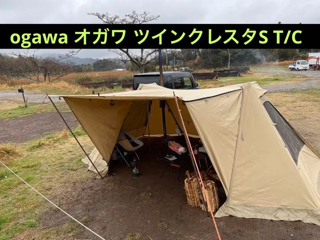 2025年最新】ツインクレスタ 二又の人気アイテム - メルカリ