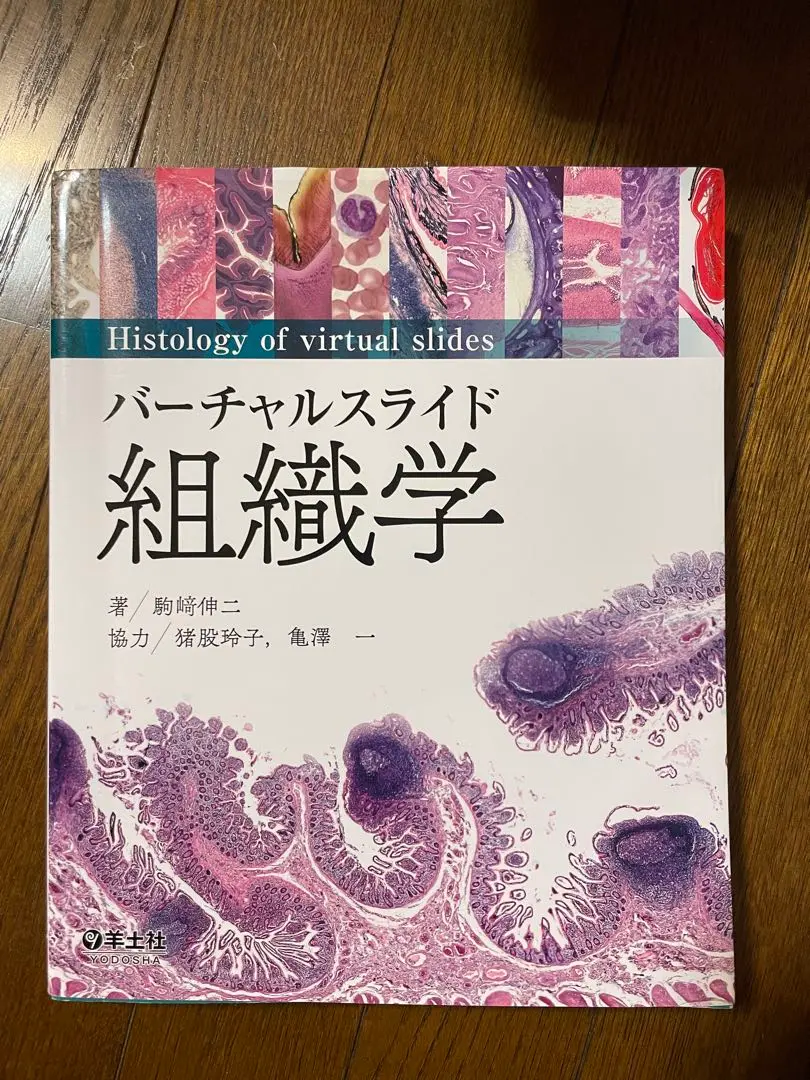 【裁断済み】バーチャルスライド組織学 バーチャルスライド 組織学 | 駒﨑 伸二 |本 | 通販 | Amazon