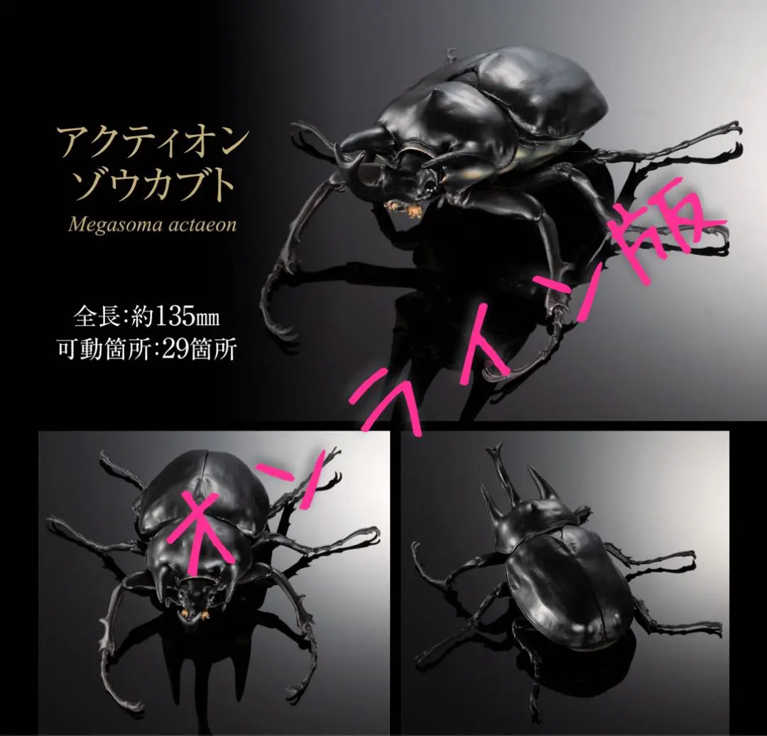 2025年最新】アクティオンゾウカブト標本の人気アイテム - メルカリ