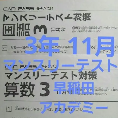 マンスリーテスト　小学３年　2024年度全5回分セット　早稲田アカデミー マンスリーテスト3年2024年5月早稲アカサピックス2回保護者会
