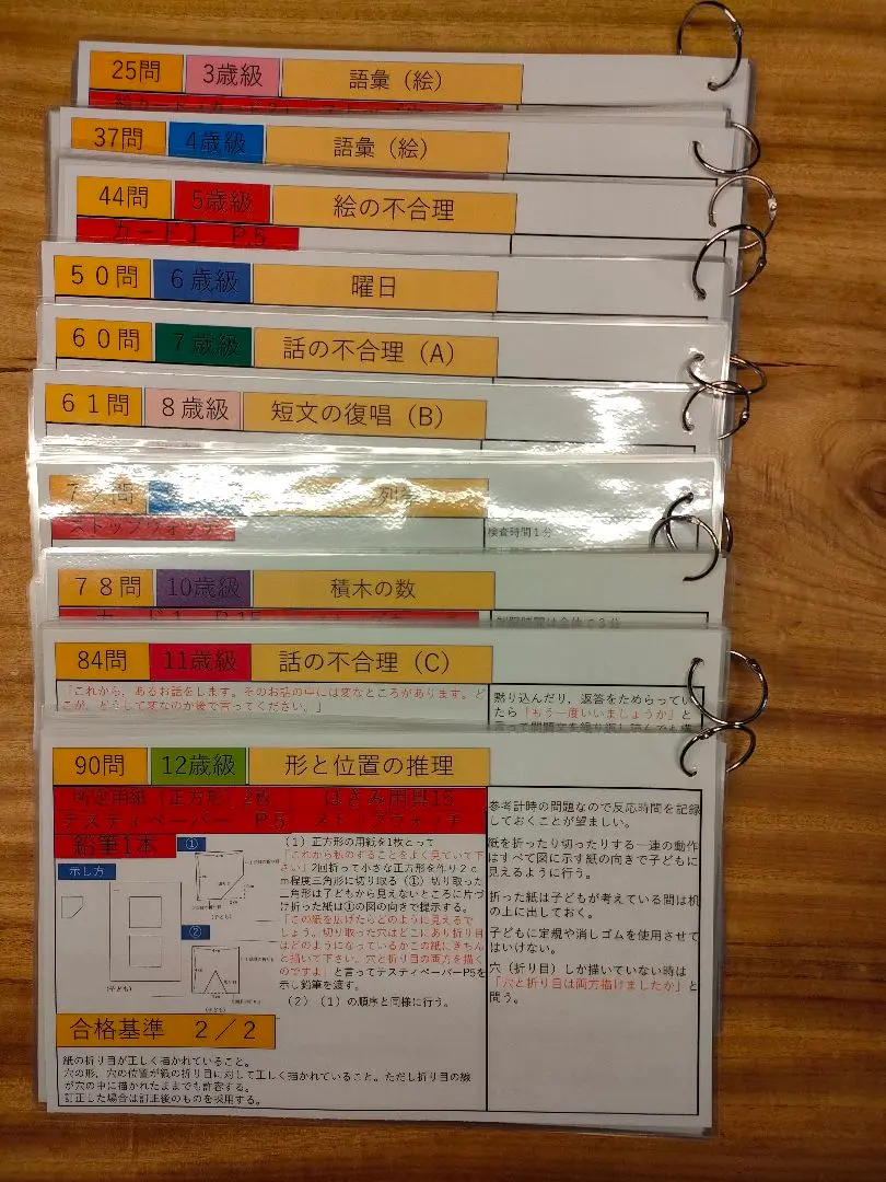 田中ビネー知能検査6理論活用マニュアル m53735609495_1.jpg?1738739798
