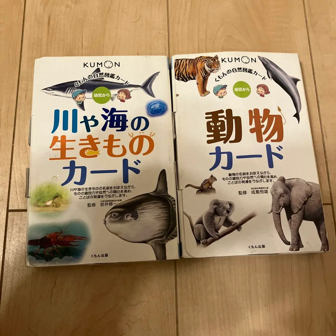 自然図鑑 川や海の生きものカード: 幼児から (くもんの自然図鑑