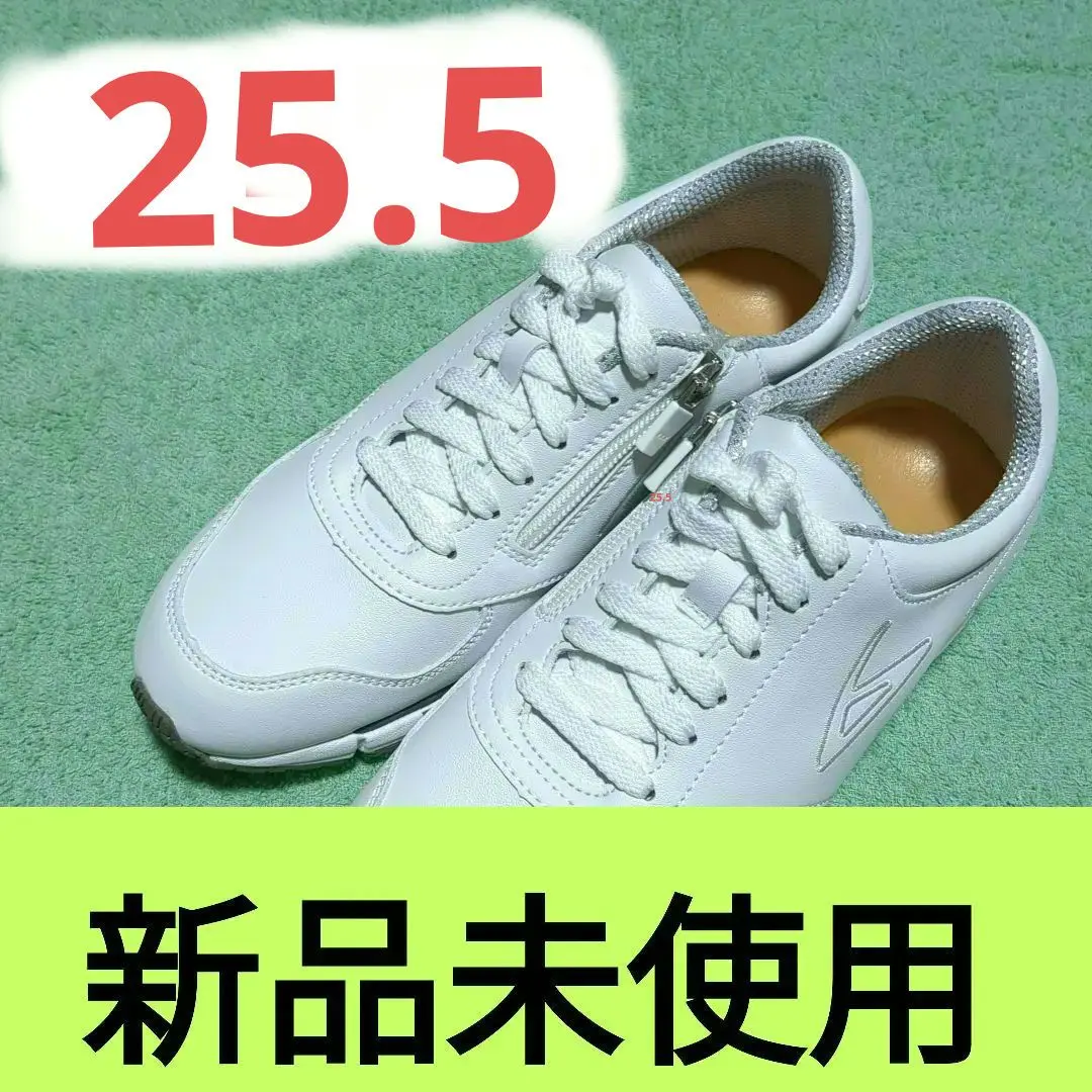 m41324233140_1.jpg?1724593504