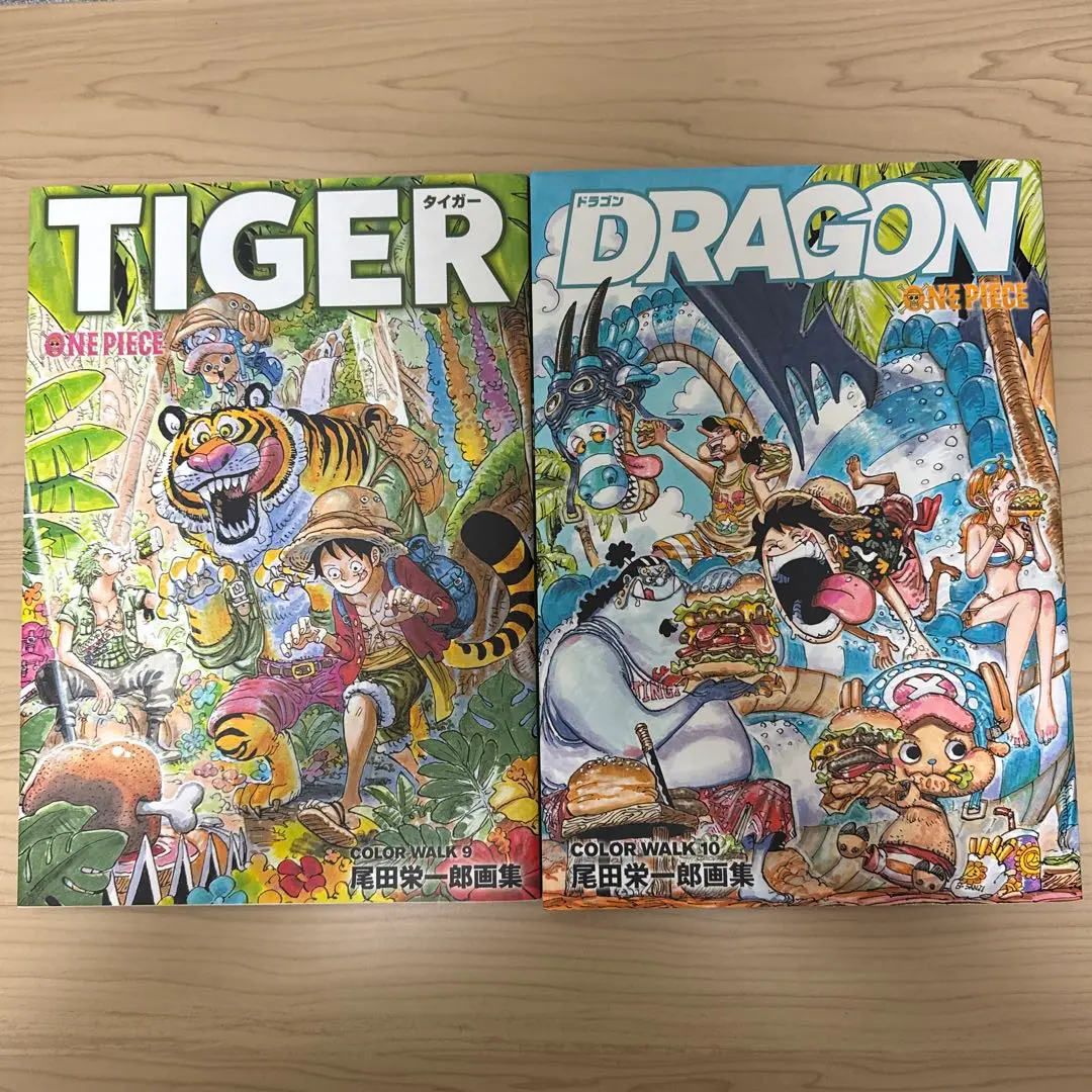 付録揃ワンピース尾田栄一郎画集COLOR WALK10冊TIGER/DRAGON m29890604179_1.jpg?1722843062