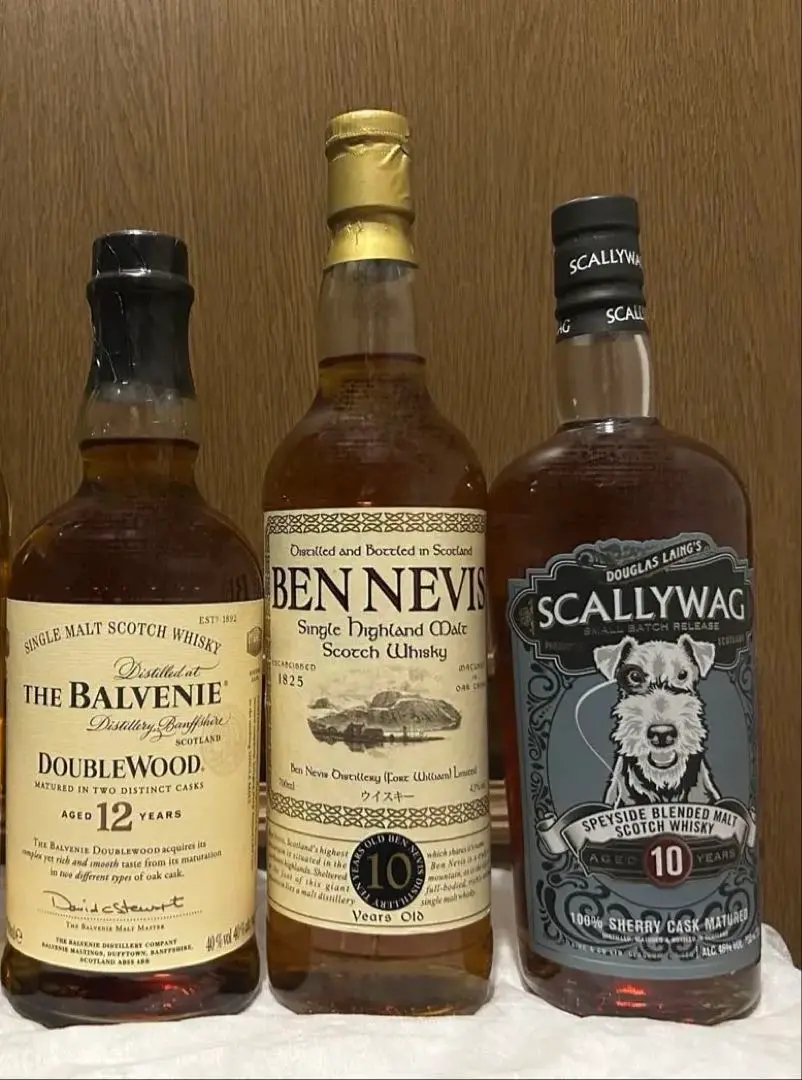 限定セール！未開封　BEN NEVIS 10年　ベンネヴィス スコッチウイスキー ベンネヴィス 10年 46％ | B.BREEZE ビーブリーズ│洋酒