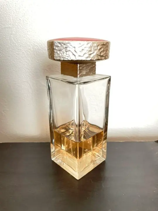 イヴ・サンローラン　VICE VERSA【未使用・新品：生産終了品】 Amazon | 【イヴ・サンローラン】ヴァイス ヴァーサEDT SP 100ml