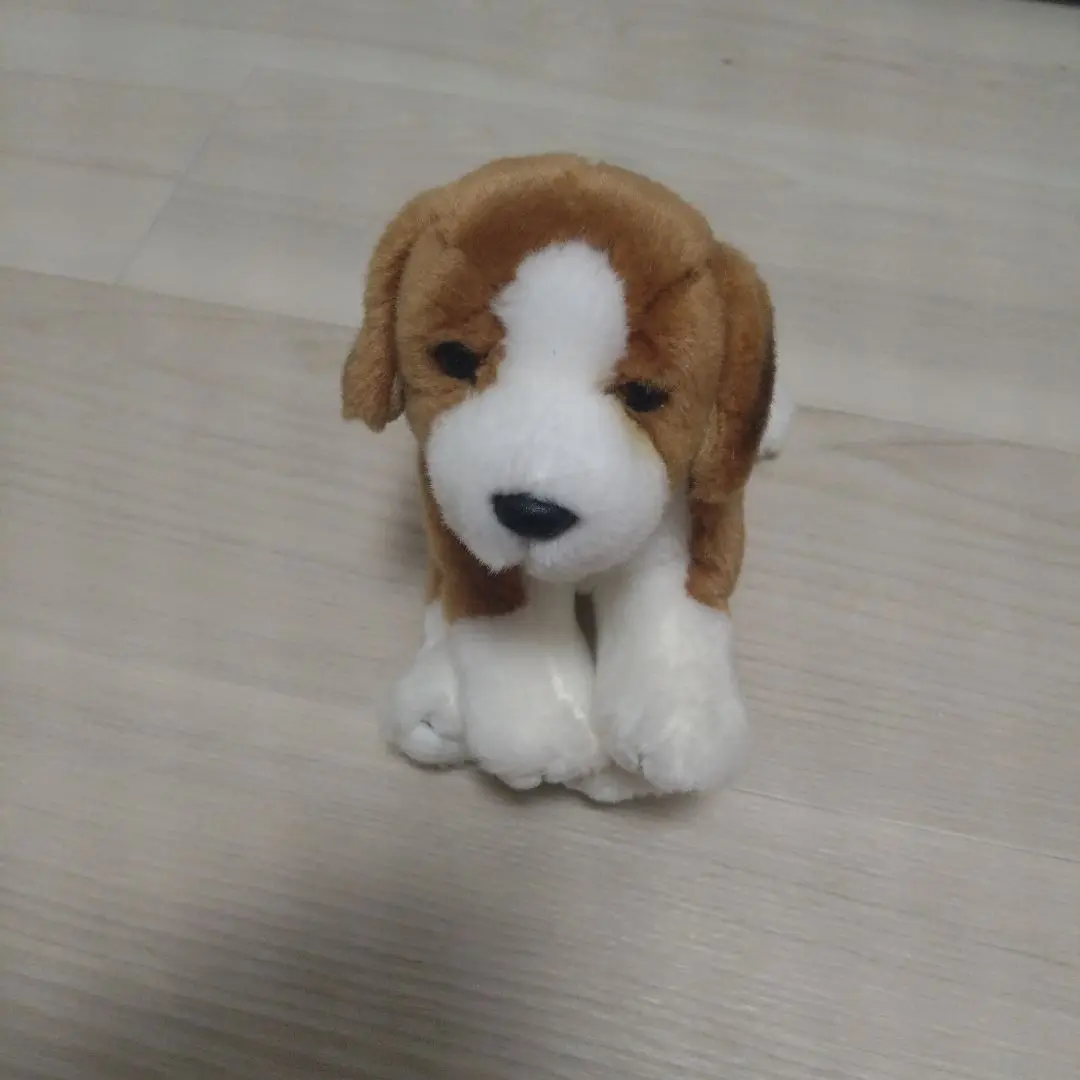 リアルドッグコレクション　コーギー　ぬいぐるみ セット　レガロ m34258804117_1.jpg?1745976121
