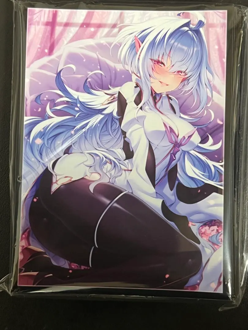 Fate FGO 蕾蒂·亞瓦隆 卡套 的縮圖