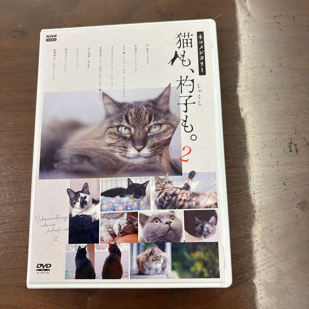 2025年最新】ネコメンタリー 猫も、杓子も。 [DVD]の人気
